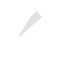 张家港临时保镖服务